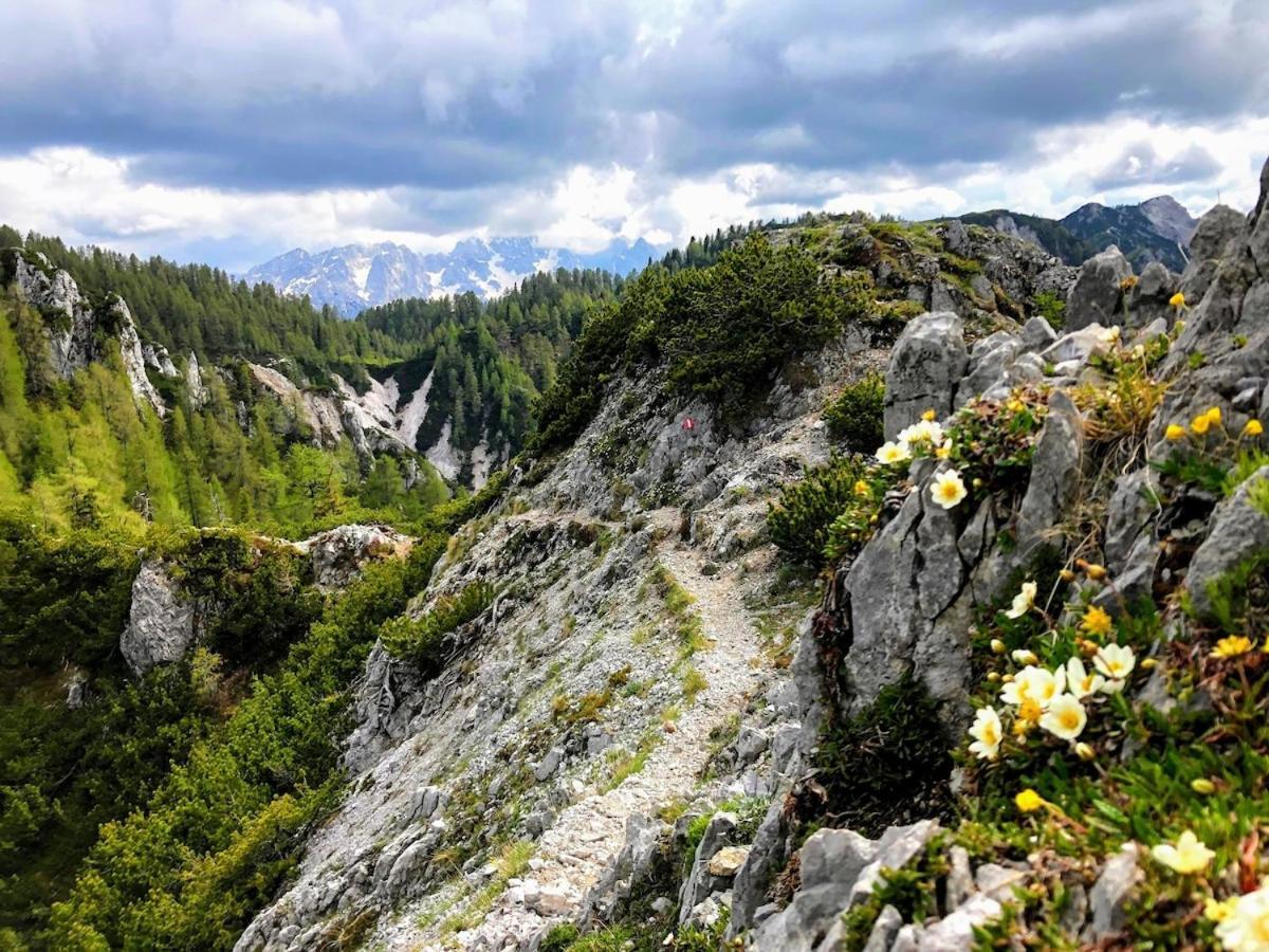 Urlaub-am-faaker-see-am-fusse-der-karawanken * Villach
